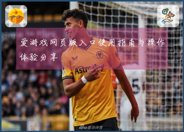 爱游戏网页版入口使用指南与操作体验分享
