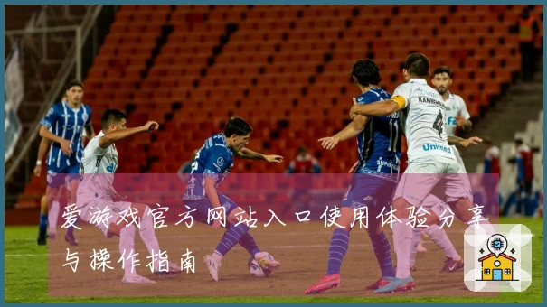 爱游戏官方网站入口使用体验分享与操作指南